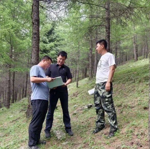 山西省五台山国有林管理局完成2025年“三北”工程森林 …