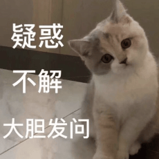 美团王兴，中国具身智能第一投资人