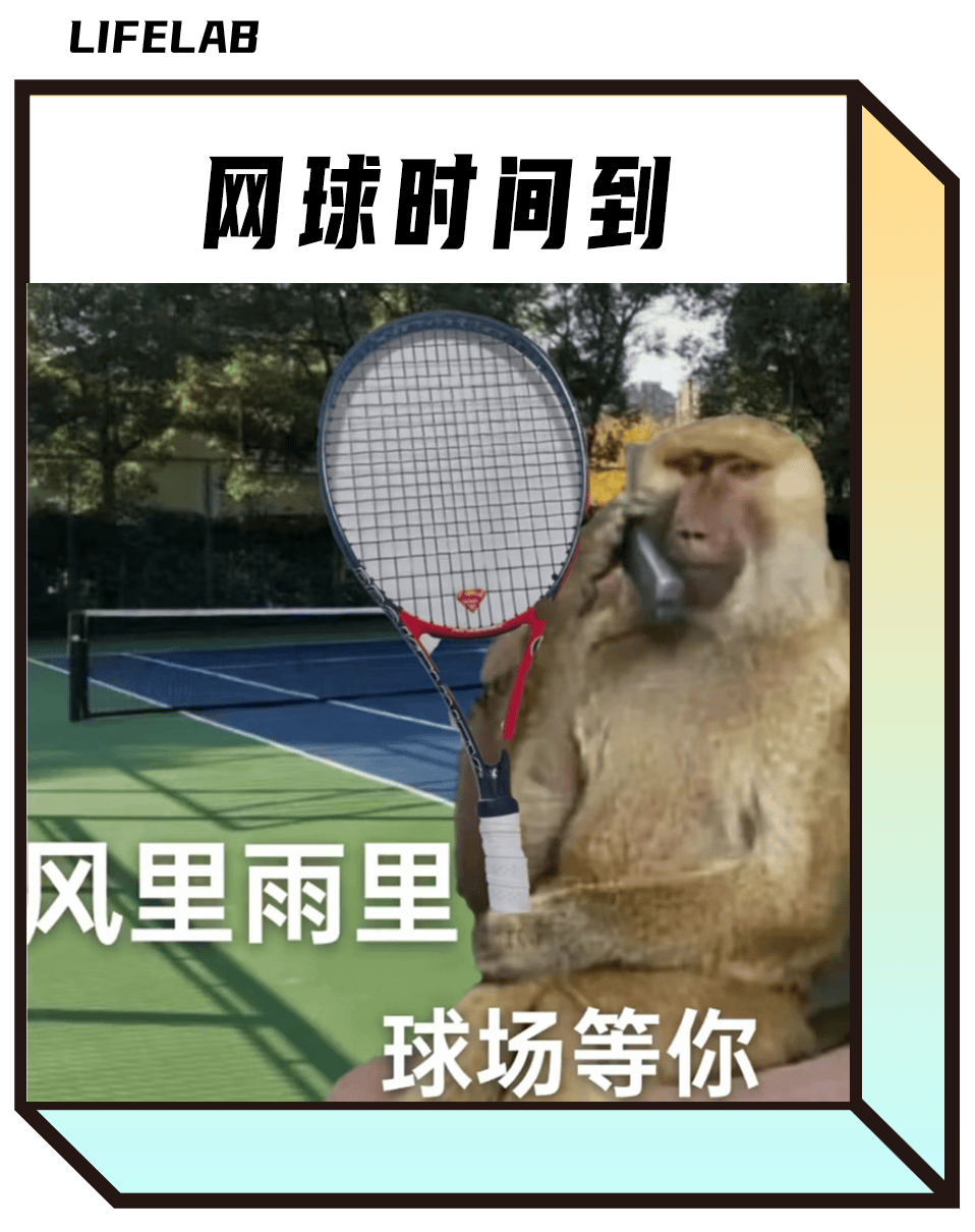网球热潮：从郑钦文到全球网球迷的精神治愈之旅