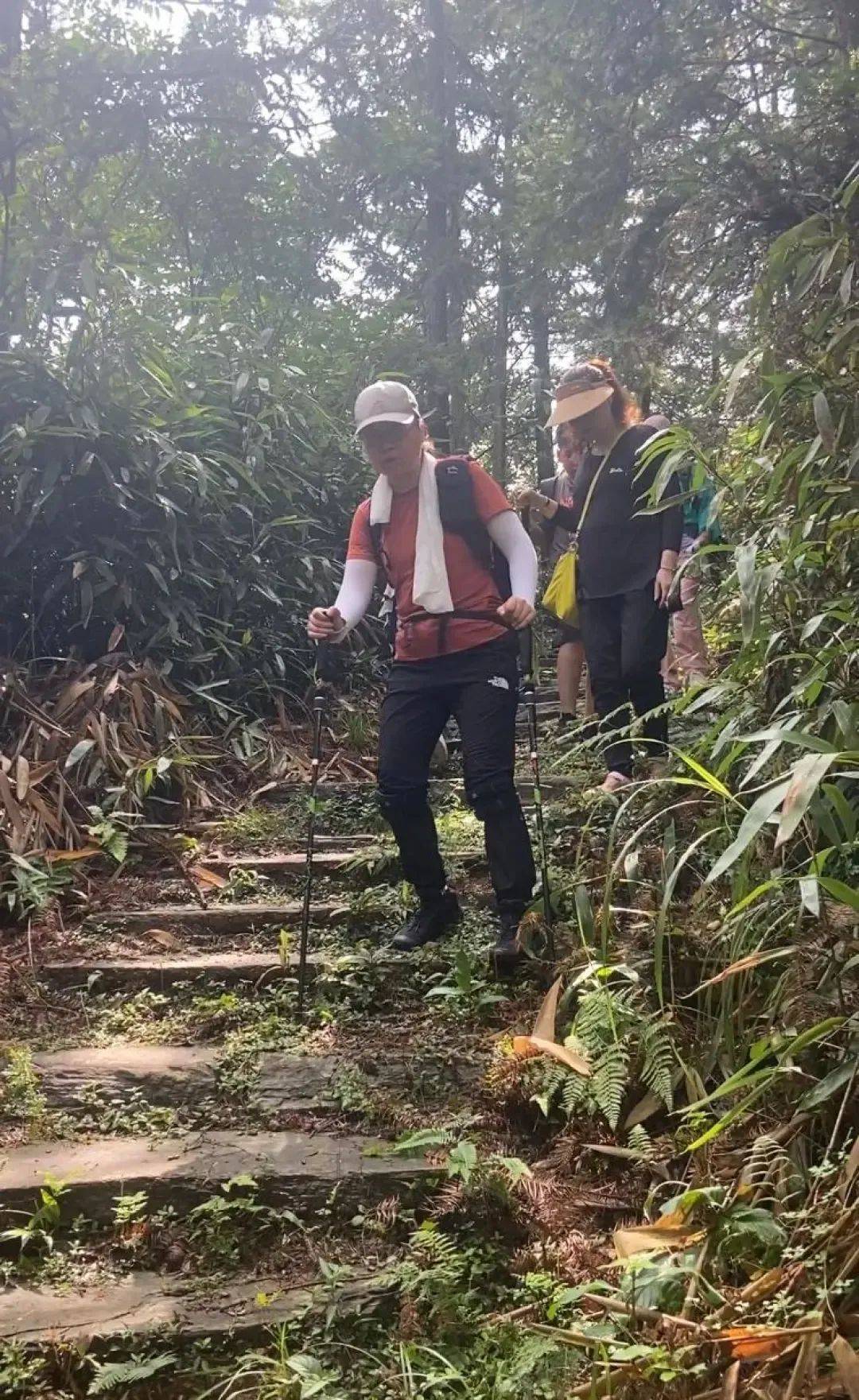 重走千年茶马道“片叶度合山”万里茶道中邦