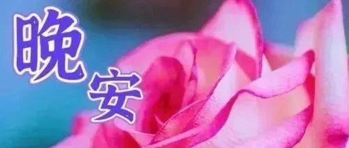 晚上好2025最新最好看的晚上好祝福问候图片,晚安上好美图集锦!_生活_宁静_储蓄