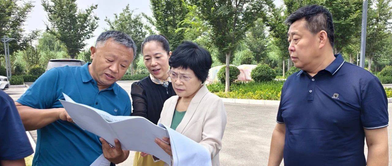 张玲带队赴安阳县、北关区专题调研“十五五”规划纲要编制工作_白壁镇_花悦