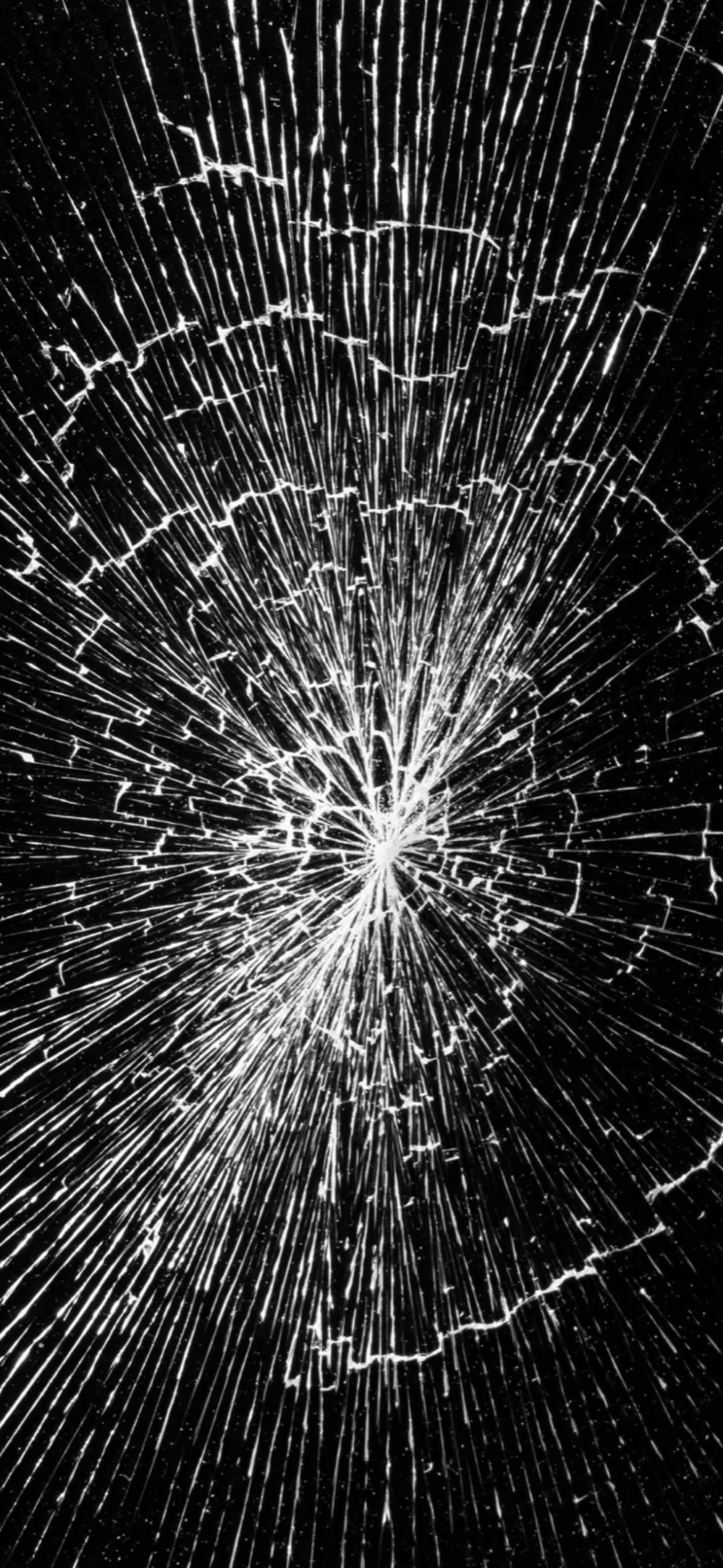 1080_2342竖版 竖屏gif 动态图 动图