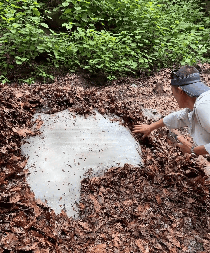 辽宁一景区三伏天惊现大冰块，游客专程“打卡摸冰”，景区：从冬天到现在一直没有化