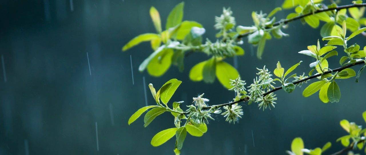 史铁生笔下更迭的四季轮转_夏天_园子_生命
