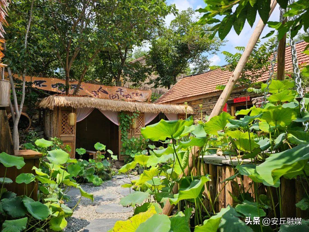 潍坊"齐鲁天路"安丘段"宝藏民宿地图",快来山里躺平吧!