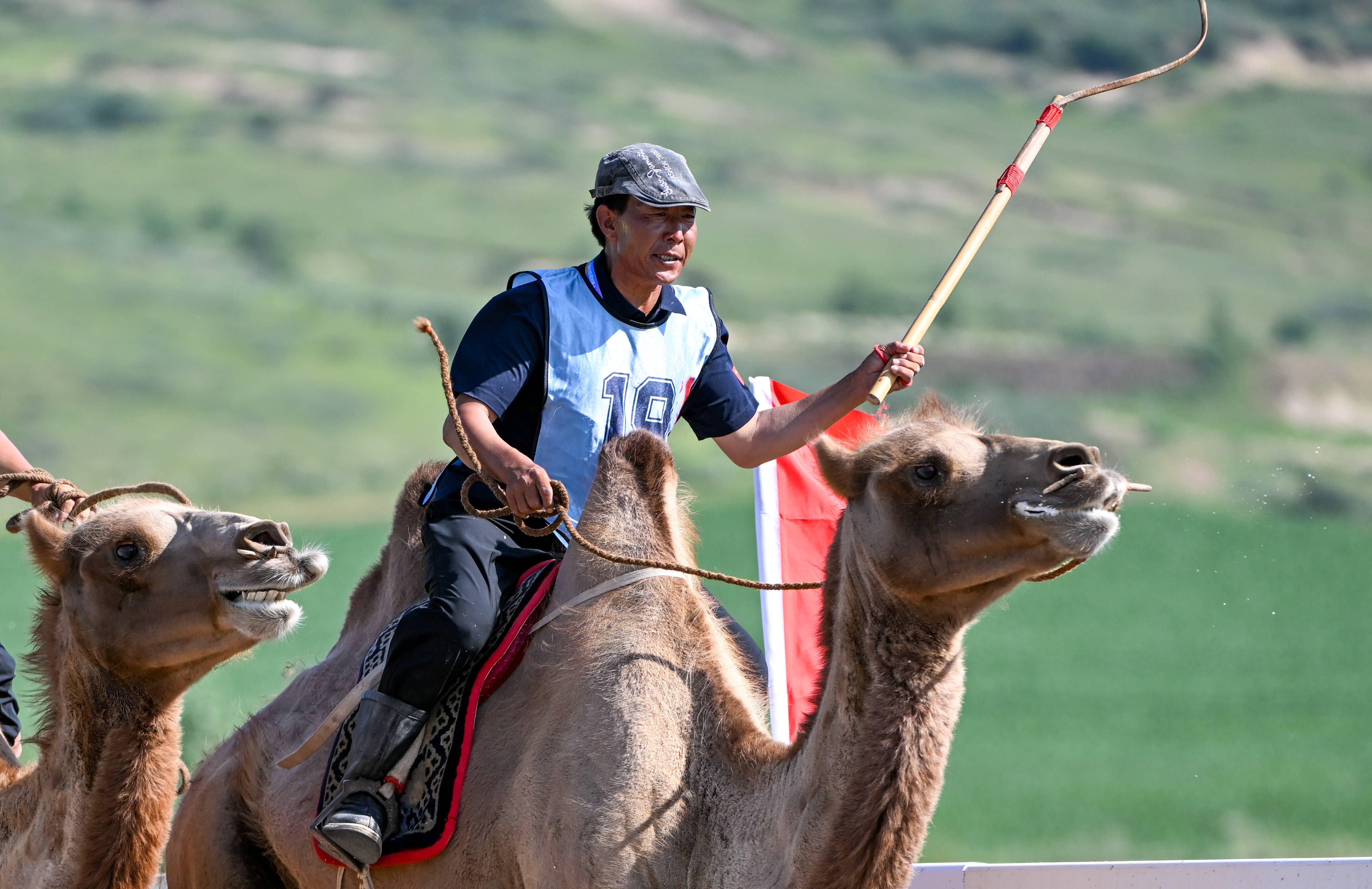 内蒙古自治区第十一届少数民族传统体育运动会赛骆驼比赛赛况