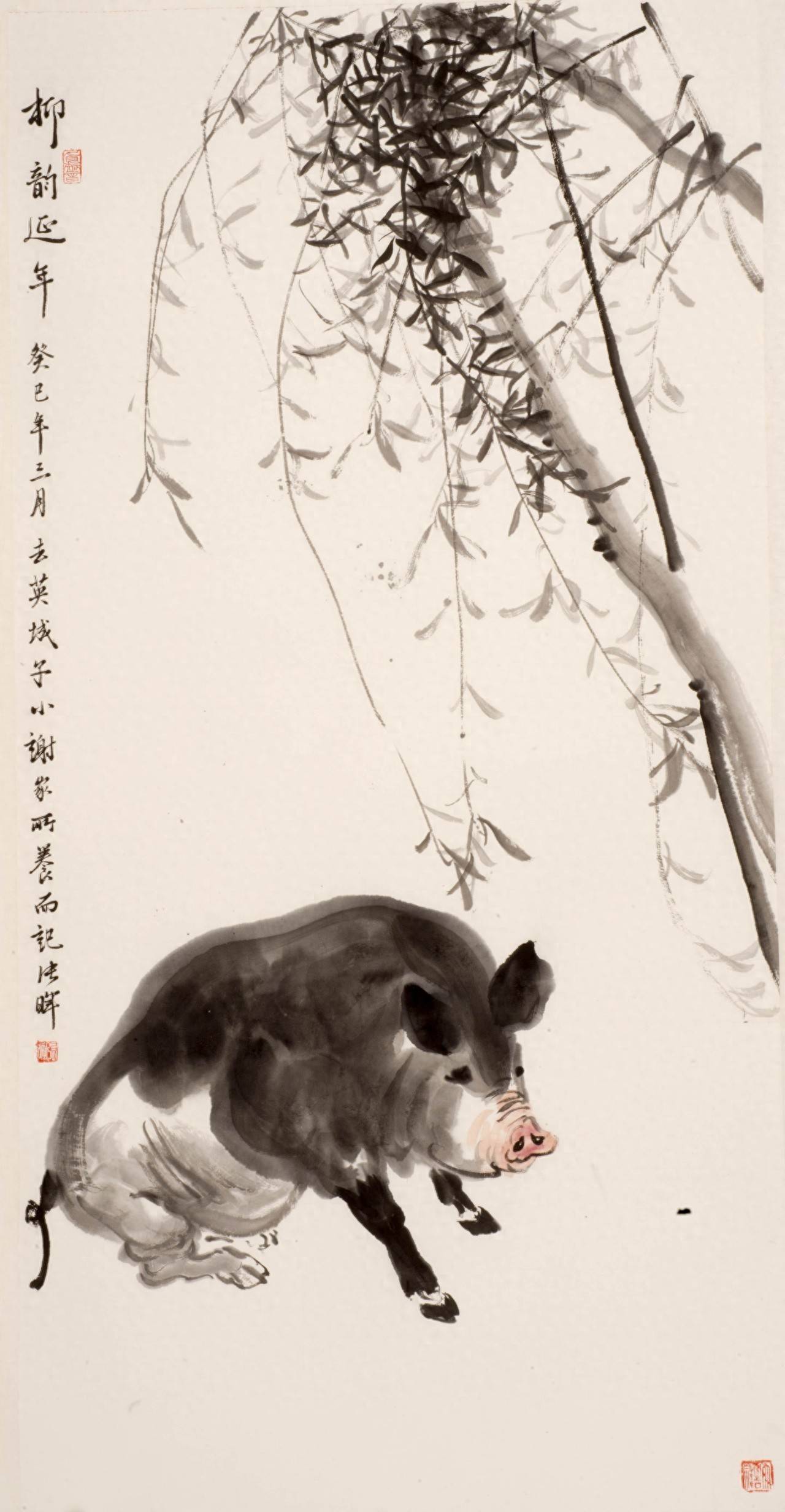 8月份生肖猪运势(生肖猪八月份运势)