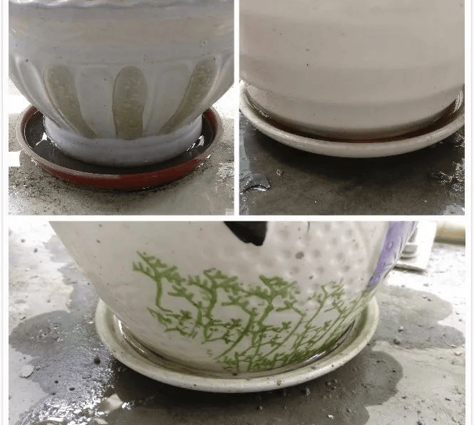 蚊子竟然能从这里来，你家也有！赶紧端了！