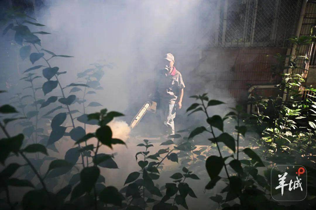 广州市卫健委：这两个时段记得关窗，各区统一灭蚊