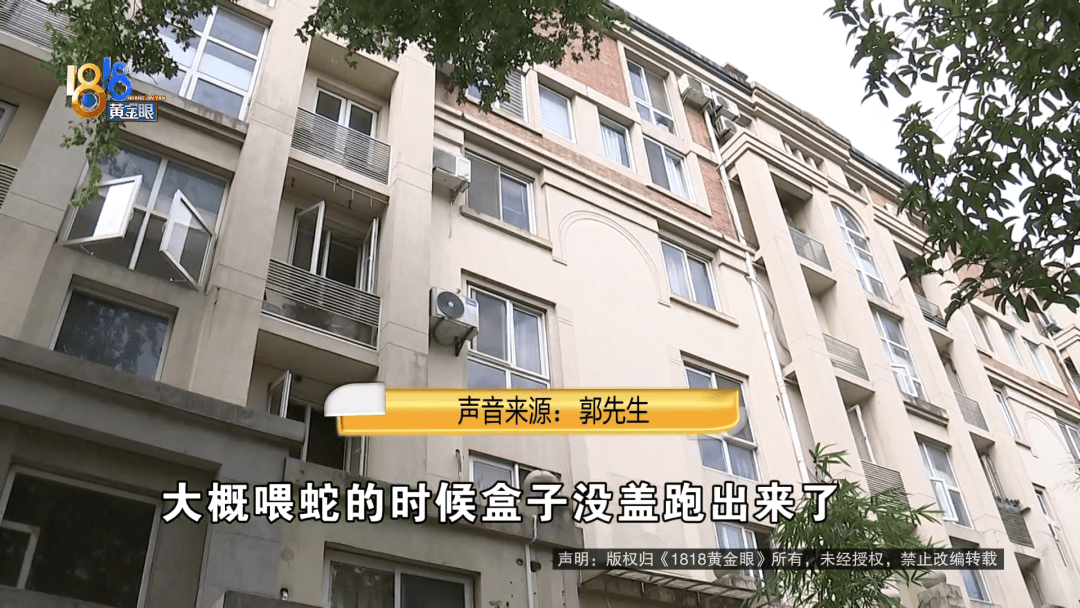 10岁孩子看到床上有蛇被吓到不敢睡觉，楼上业主：喂食的时候跑出来了