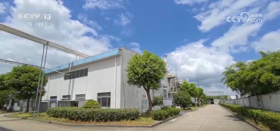 多部门积极应对台风“竹节草” 全力投入防台防汛工作