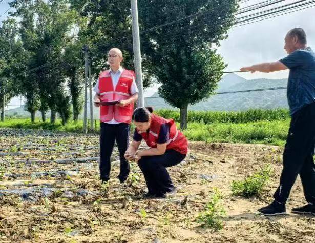 人保财险北京分公司：此次特大暴雨接车险报案603件