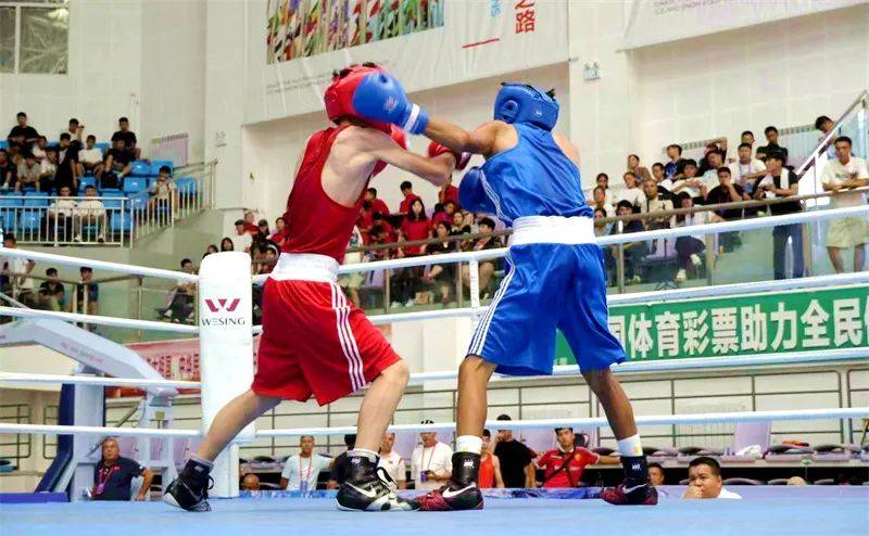 2025年新疆青少年拳击锦标赛：青春热血，拳击之巅