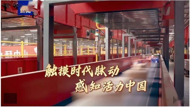 活力中国调研行丨从日用品到艺术品 青海藏毯织出“创新范儿”