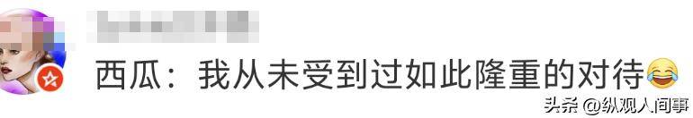 韩国西瓜170元__西瓜在韩国