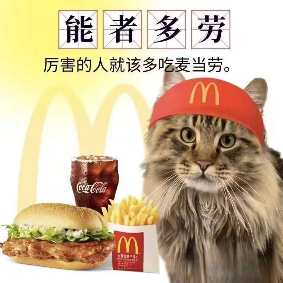 别人吃苦耐劳,我吃麦当劳.jpg