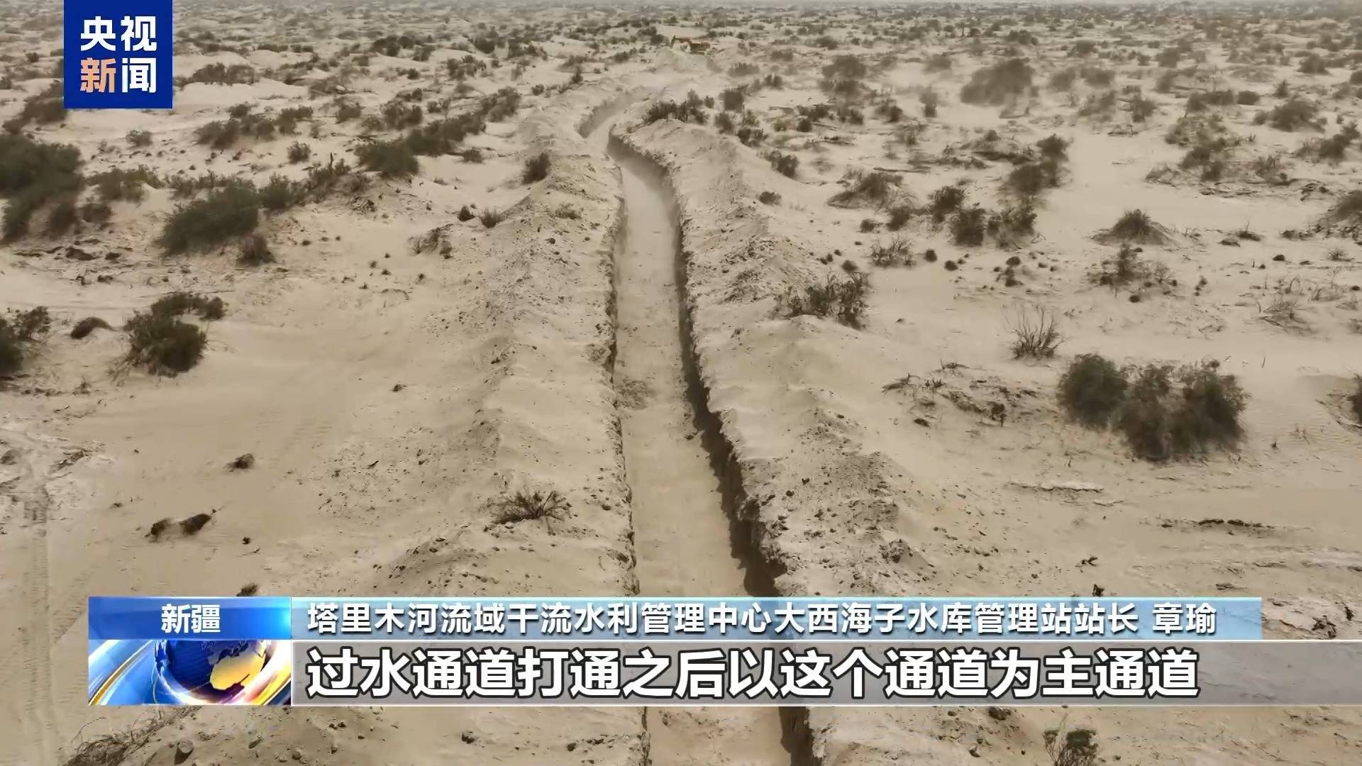 生态输水如何守护胡杨“生命线”？调控方案考虑这些