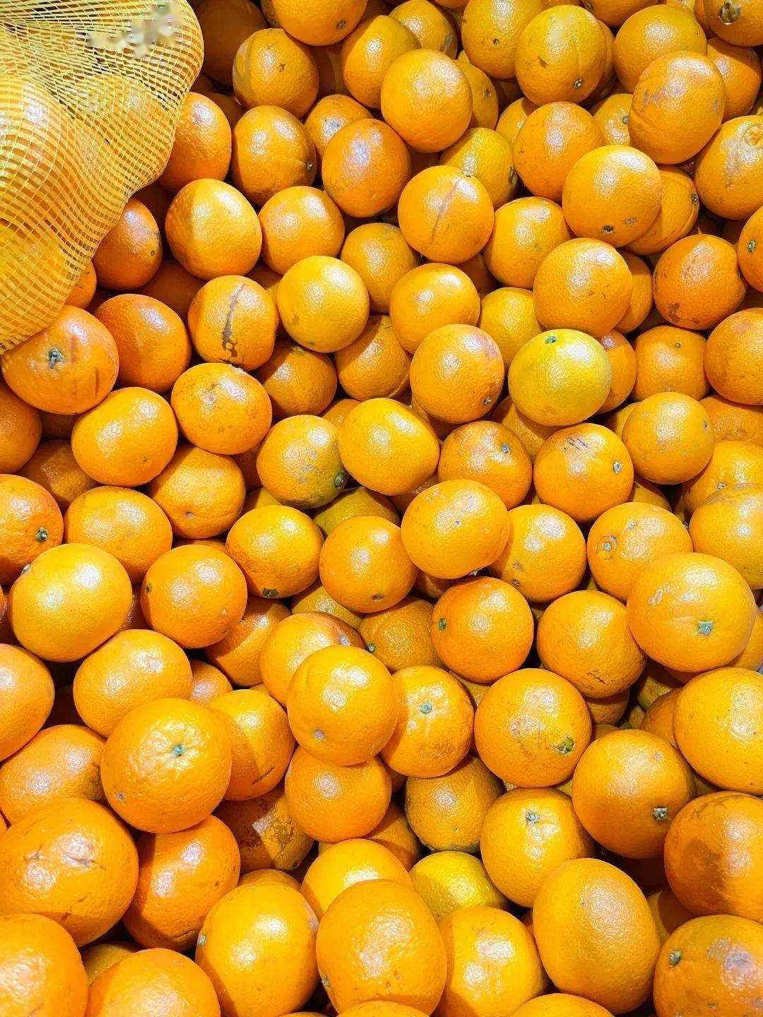 4斤【澳洲木板甜橙】汁水充沛,可徒手榨汁