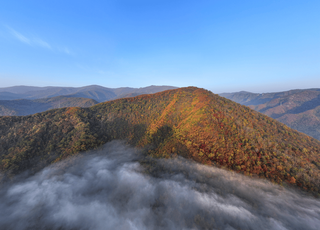 图片[7]-夏天摸冰、喝羊汤的东北小城，太猛了-华闻时空