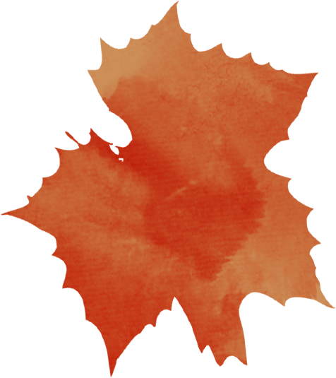 文章配图-2