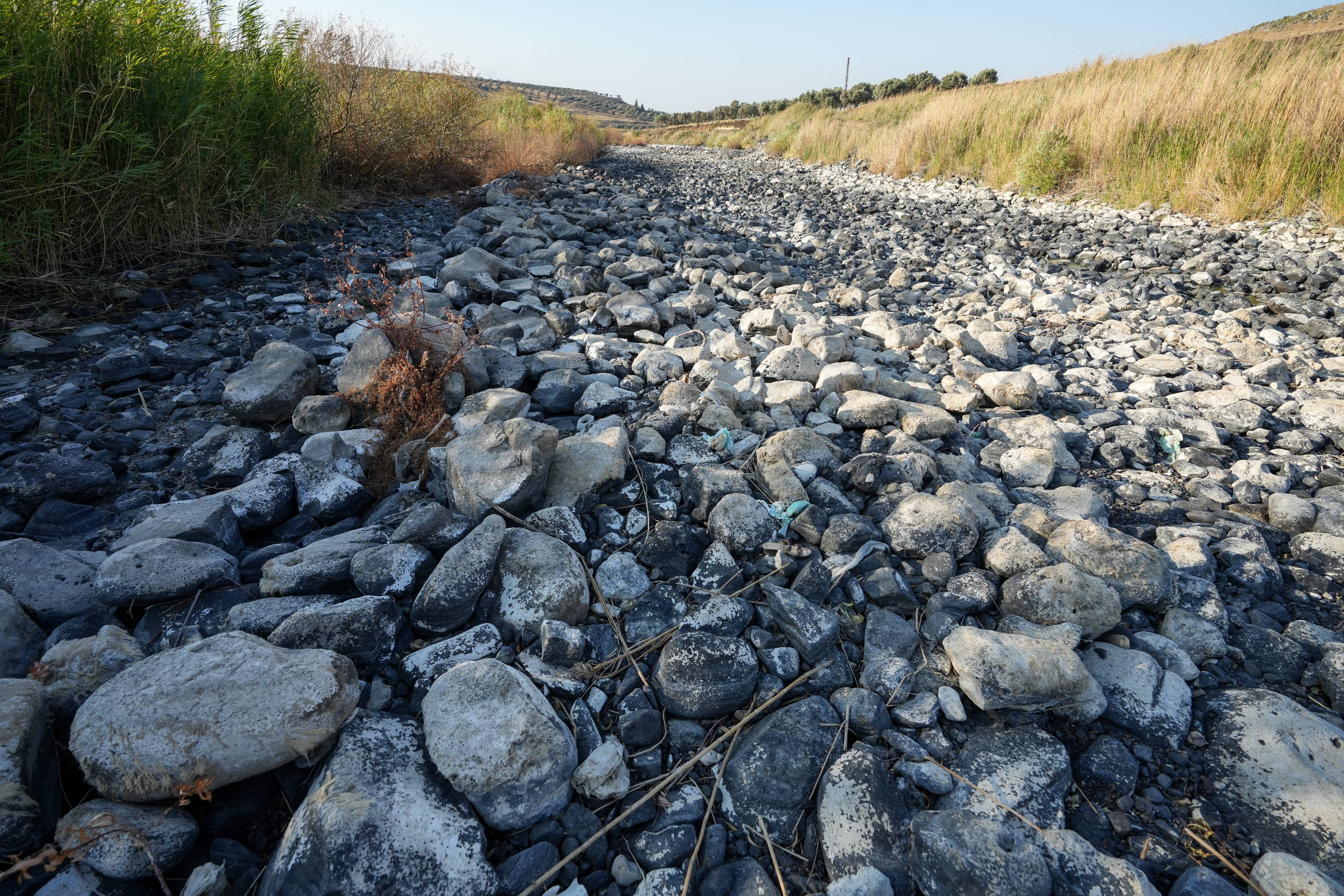叙利亚:干涸的奥龙特斯河