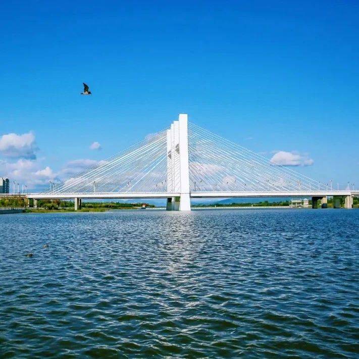 珲春暑期跨境旅游持续升温_旅客_口岸_出入境
