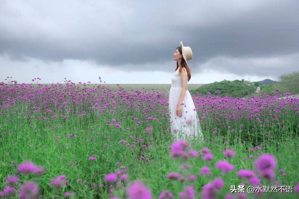 唯美浪漫的马鞭花人像怎么拍,收好这份拍摄指南,拍照景美人更美