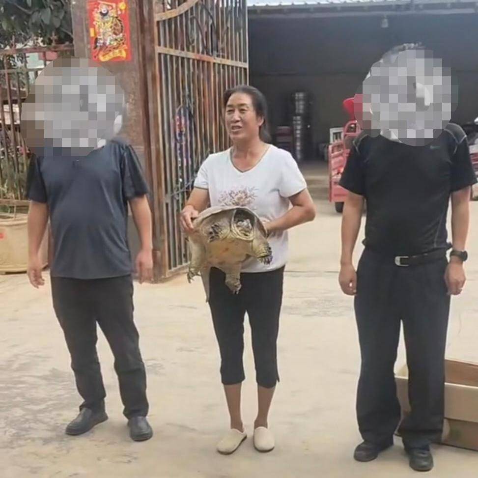被过路司机抱走的宠物鳄龟找到了！主人称它一回家就吃肉，民警追踪到邻县
