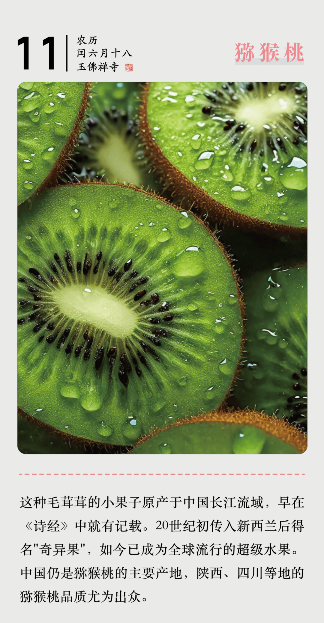 素食中的素食食品