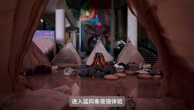 文旅观察｜博物馆点亮“奇妙夜”：夜宿活动重塑文化体验