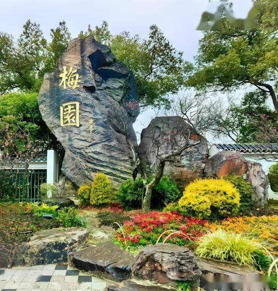 鼋头渚拈花湾灵山胜境深度游_无锡旅游攻略2025_无锡有哪些著名培训机构