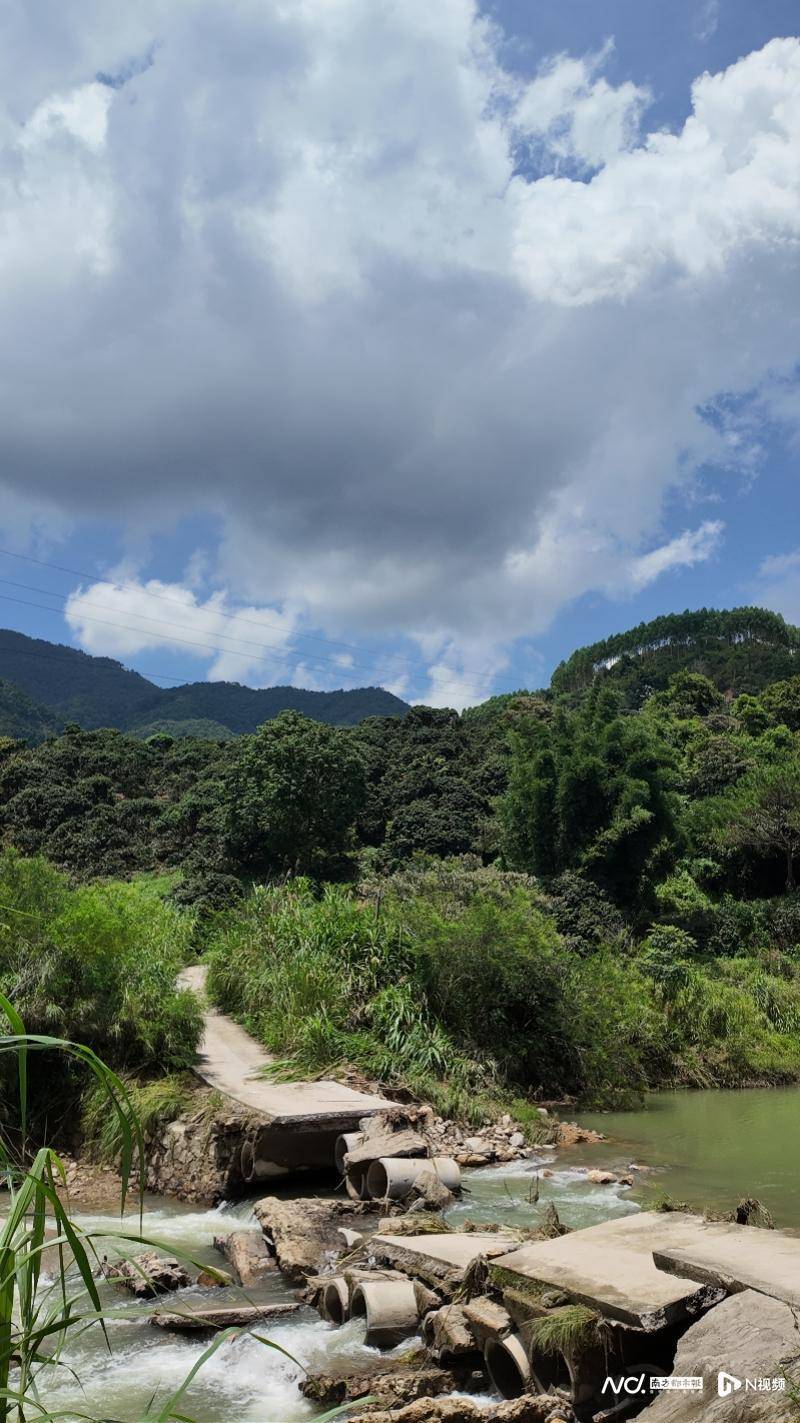 为了50000斤荔枝：广东持续暴雨下的一场山间民生接力