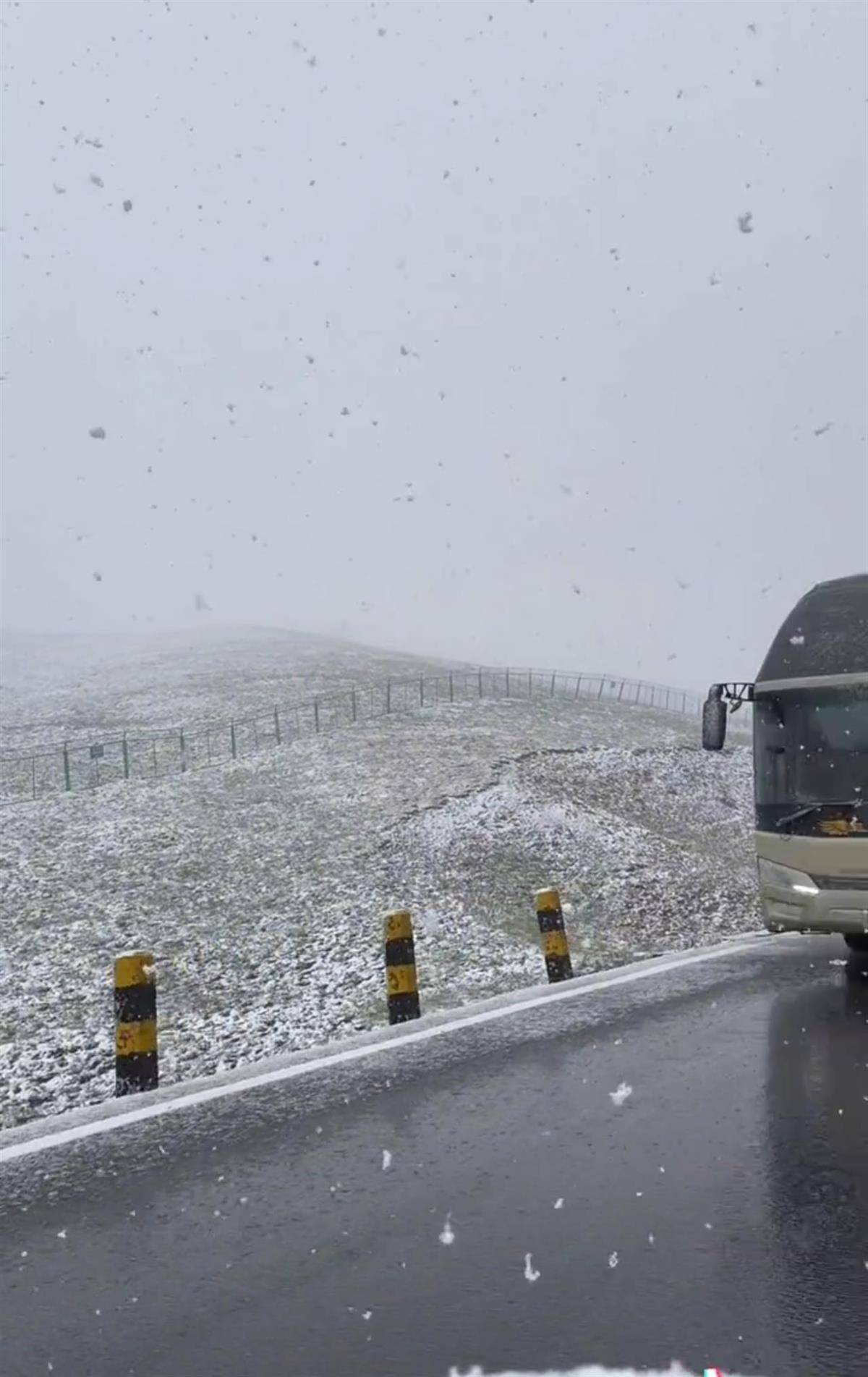 祁连山8月突降鹅毛大雪，下了三四个小时，广东游客：遇到人生第一场大雪，还是夏天的雪，太幸运