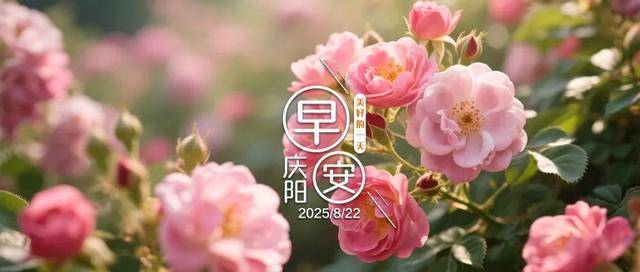 早安庆阳丨气温骤降！甘肃大部降雨持续，局地有大到暴雨