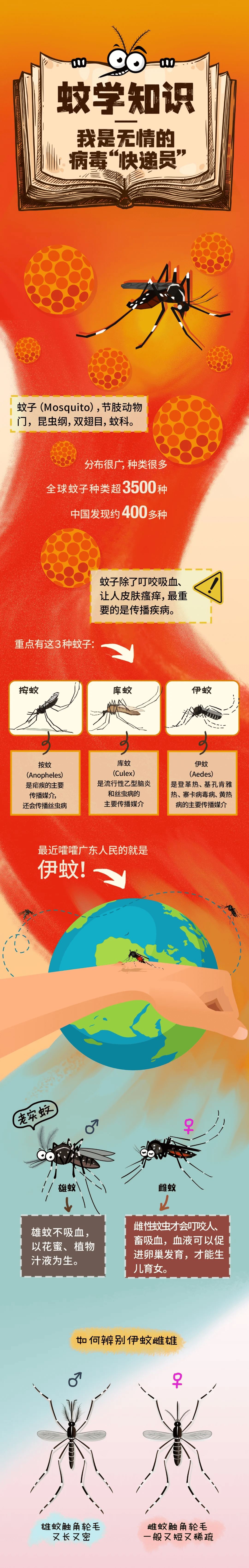 蚊子为什么喜欢咬关节