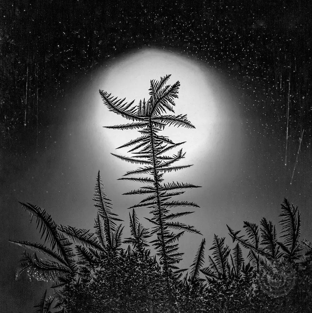 揭晓| 2025年黑白摄影大赛