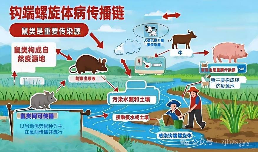 10秒感染，男子高烧42℃险丧命！人人可能中招