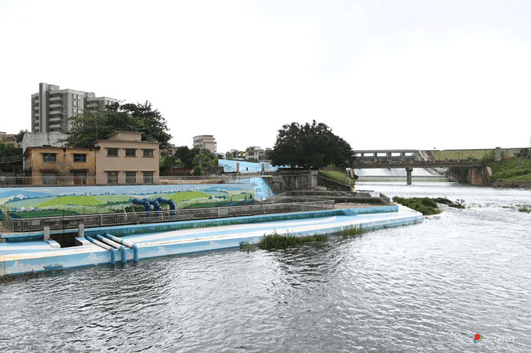 湛江市委书记余钢到徐闻县接访群众、督导检查防疫和防风工作并调研