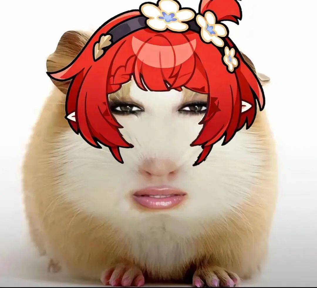 猪妞表情包:仙女下凡