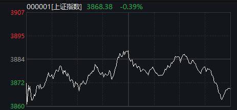 A股回调！超2400只个股下跌，稀土板块跌幅居前