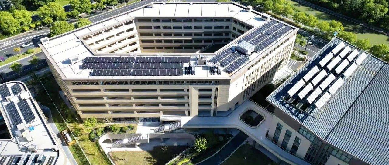 探新校④ | “向上生长”,丹枫实验小学全新亮相_校园_徐星_空间