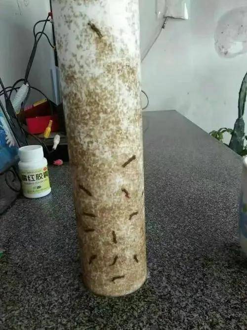 小区里“自助水站”越来越常见，里面的水能放心喝吗