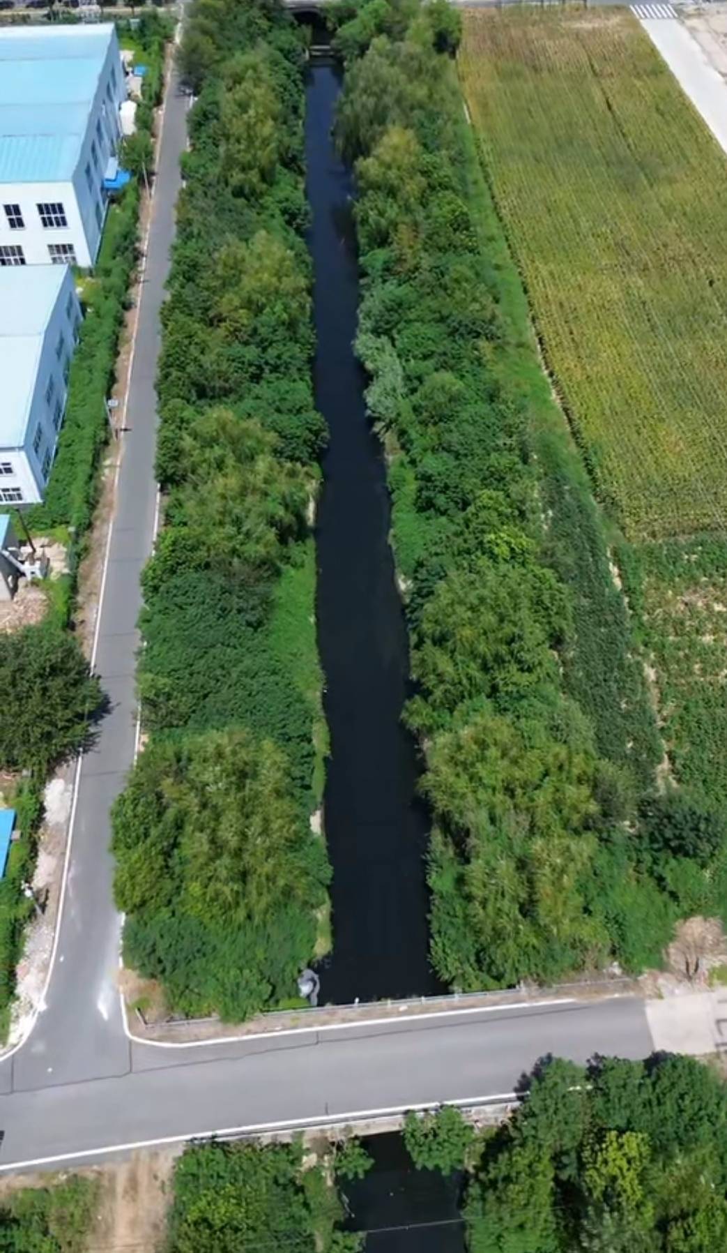 湖北孝感一河流被曝成“黑水河”散发刺鼻药味，当地已展开调查