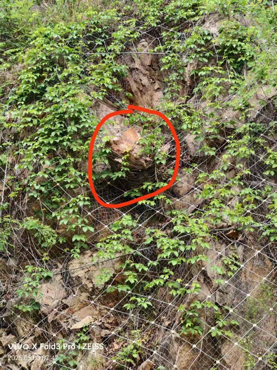 河南山体落石致36岁男子死亡案将一审开庭，家属起诉多部门索赔146万余元