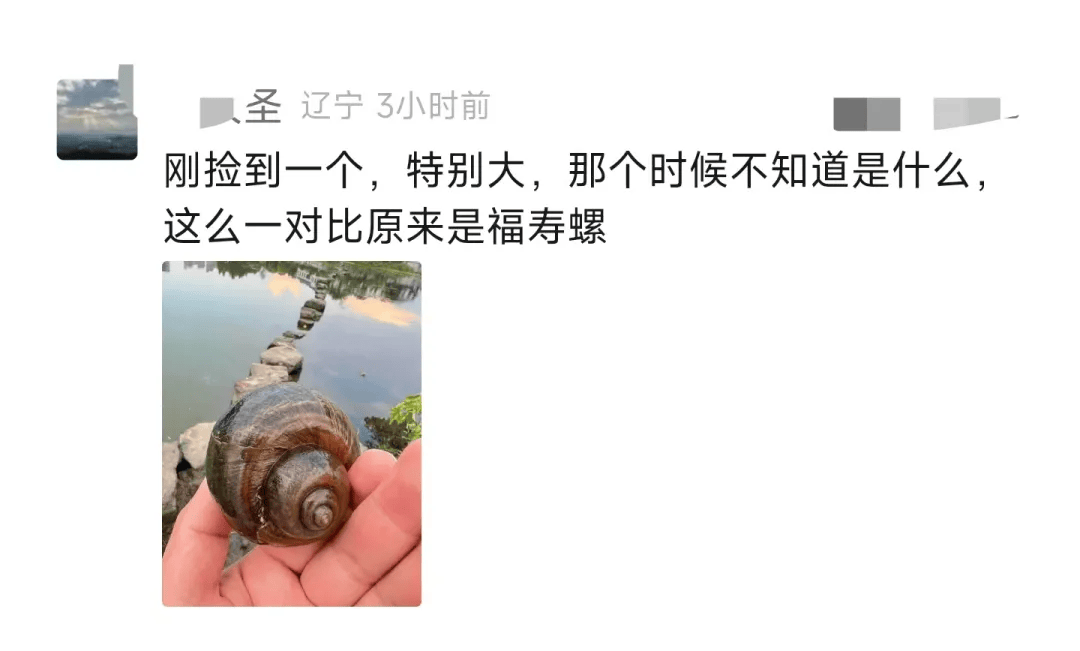 别吃！别碰！寄生虫多达上千条，近期大量出现