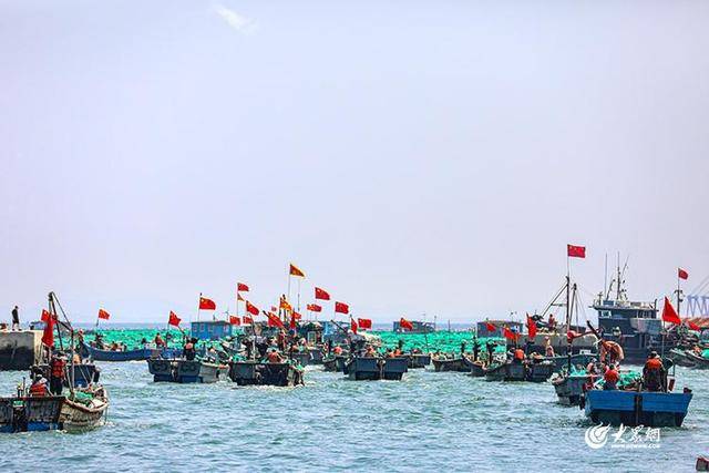 烟台正式开海，“金秋第一鲜”价格已经打听好了！