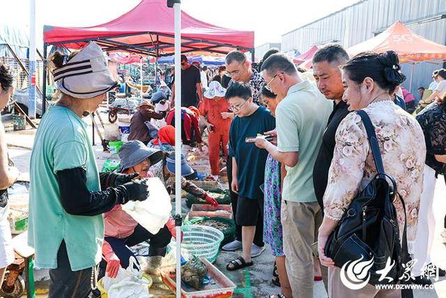 烟台正式开海，“金秋第一鲜”价格已经打听好了！