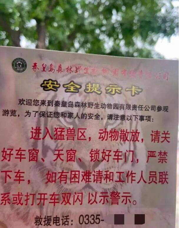 惊险！游客猛兽区下车，遭老虎跟随，动物园回应→