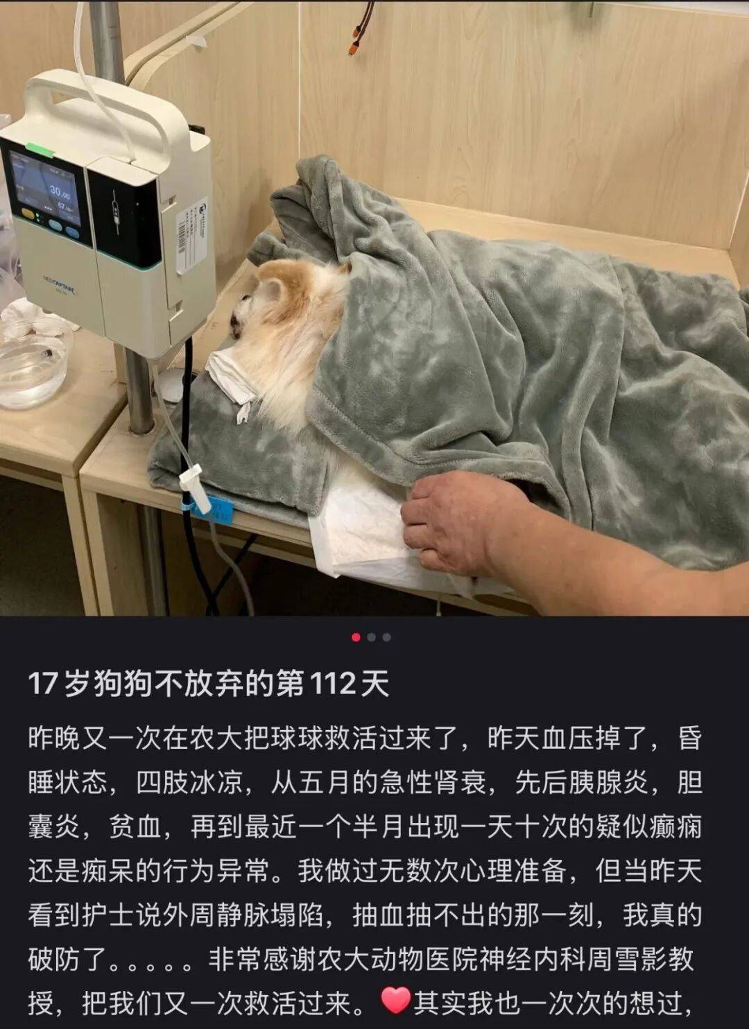 新型「销金窟」，捞了中国人3000亿？